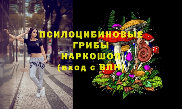 соль ск Алексеевка