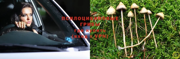 гидропоника Алексин