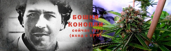 соль ск Алексеевка