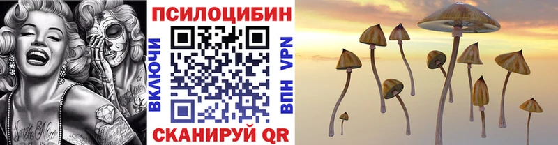 Галлюциногенные грибы Psilocybine cubensis  kraken маркетплейс  нарко площадка состав  как найти закладки  Октябрьск 